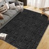 Coolmee Machine Washable Area Rug for Living Room Non-Slip Modern Abstract Accent Throw Floor Carpet for Bedroom Dining Room - 4 of 4