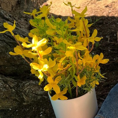 Guest review image 2 of 2, zoom in