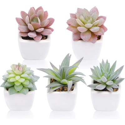 BRINJOY 5-Piece Mini Artificial Succulent Set - Realistic Tabletop Plants in White Ceramic Pots for Home & Office Decor