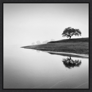 Amanti Art Tree in the Lake by Alexandre Manuel Canvas Wall Art Print Framed 22 x 22-in. - 1 of 4