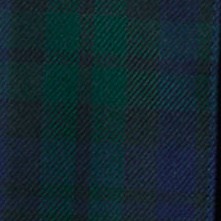 classic navy/evergreen plaid