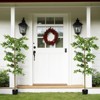 Wooakway 39"H Artificial Boxwood Green Tree Faux Decorative Plant in Nursery Pot for Indoor Outdoor D¨¦cor - 4 of 4