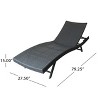 2 PCS Patio Lounge Chair Chaise Recliner Weather Resistant without Cushion-Christopher Knight Home - 3 of 4