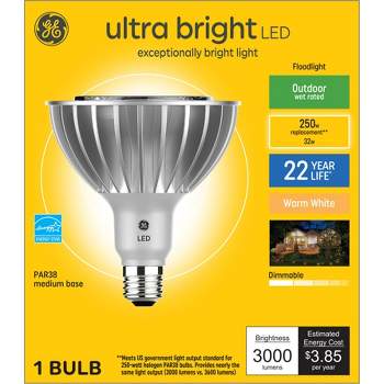 GE 250W PAR38 Ultra Bright LED Light