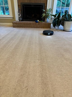 Guest review image 1 of 4, zoom in