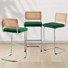 Bekrvio Bar Stools Set of 2/3/4, 26”/30" Barstool with Rattan Back, Velvet-Upholstered & Chrome Frame,Mid Century Modern Kitchen Stool for Island - 4 of 4