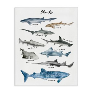 Stupell Industries Shark Chart Watercolor Marine Animals Canvas Art - 1 of 4