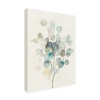 Trademark Fine Art -Danhui Nai 'Eucalyptus III' Canvas Art - 3 of 4