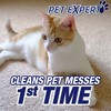 Resolve Clean & Fresh Pet Carpet Foam - 22oz - image 4 of 4