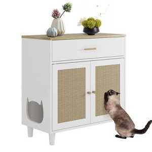 COZONY Hidden Cat Litter Box Furniture with Storage Drawer, Wood Enclosure Cabinet with Sisal Doors for Living Room - 1 of 4