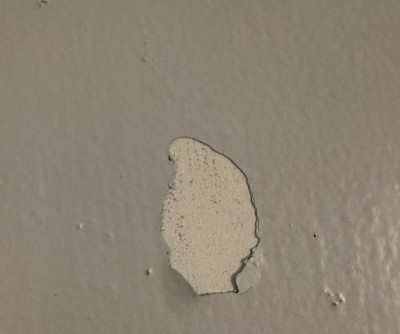 Guest review image 1 of 2, zoom in