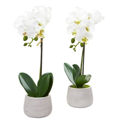 Nearly Natural 15-in Phalaenopsis Orchid Artificial Arrangement (Set of 2)