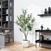 Fake Black Olive Tree with Pot, Faux Olive Tree 7Ft, Indoor Tall Artificial Plants Potted for Indoor Outdoor Living Room Home Restaurant Store - 3 of 4