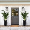 1-Pair Black Self-Watering Planters – 21.7” Tall, Water Level Gauge, Tall-Round Series – For Large Plants - 2 of 4