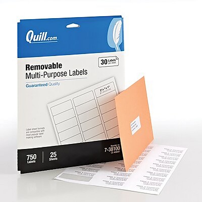 Quill Brand Removable Laser/Inkjet Labels 1" x 2-5/8" WE 30 Labels/Sheet 738100