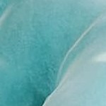 blue with gold legs - 2pcs