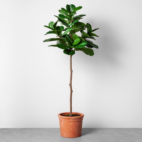 Faux Fiddle Leaf Plant in Terracotta Pot - Hearth & Hand™ with Magnolia