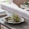 Moda Furnishings Aluminum Leaf-Shaped Decorative Platter – Antique Nickel Finish, Textured Serving Tray for Dining Table or Home Décor - 3 of 4
