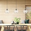 Livex Lighting Aldrich 1 - Light Pendant in  Black/Brushed Nickel - 3 of 4