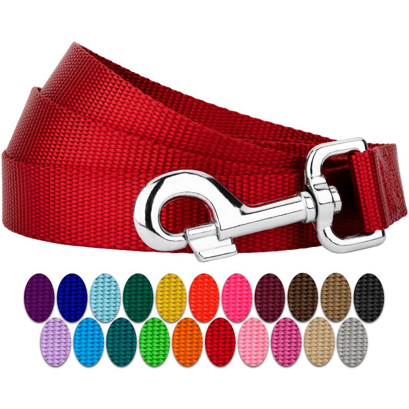 Country Brook Petz - Nylon Dog Leash (3/8 Inch Wide), 1 of 7
