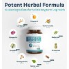 Respiratory Support Blend, Deep Lung Cleanse for Bronchial Health, Quercetin, Cordyceps, & Bromelain to Clear Lungs, Healths Harmony, 60, 120 or 180ct - 3 of 4