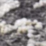 black, ivory, gray, charcoal, tan