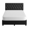 Eco Dream Full Veronica Tufted Faux Leather Upholstered Platform Bed with Storage Drawers Black - 4 of 4