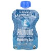 Mamma Chia Organic Chia Prebiotic Squeeze Snack Blueberry Acai 4 Squeezes, 3.5 oz - 3 of 3