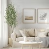 Faux Olive Tree, Olive Trees Artificial Indoor with White Planter, Artificial Silk Plants with Green Leaves and Big Fruits - 2 of 4