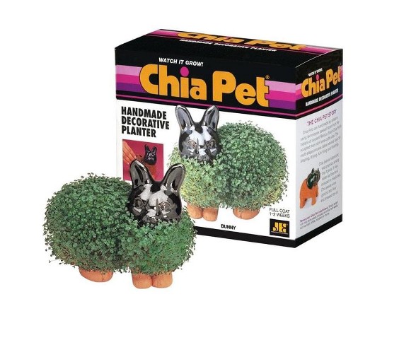 Joseph Enterprises, Inc Chia Pet Grass Planter: Bunny