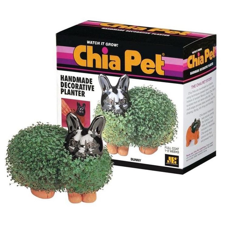 Joseph Enterprises, Inc Chia Pet Grass Planter: Bunny, 1 of 3