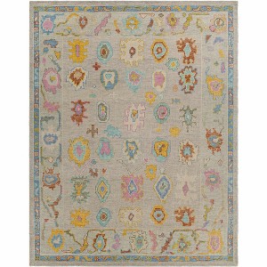 Hauteloom Kapaya Wool Living Room, Bedroom Area Rug - Traditional - 1 of 4