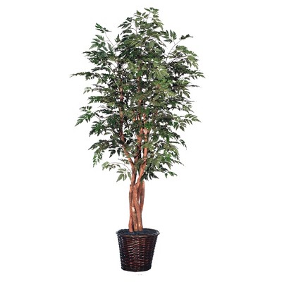 Vickerman Artificial Ming Aralia Extra Full Series