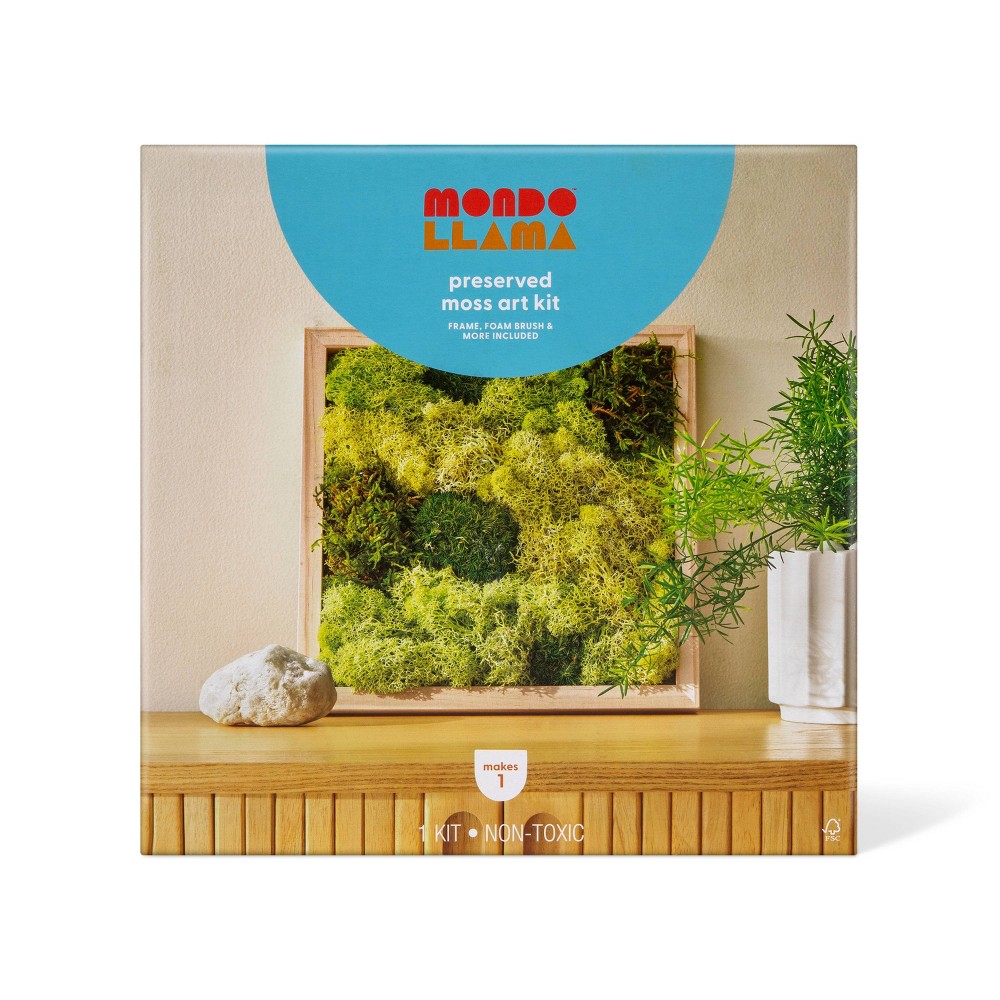 Photos - Accessory Preserved Moss Art Wood Craft Kit - Mondo Llama™