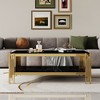 Top and Bottom Double Layer Tempered Glass Coffee Table and Mirror Finished Stainless Steel Frame - 3 of 4
