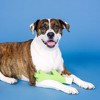 PetShop by Fringe Studio 11.02" Stick With Me Dog Stick Toy - Green - 4 of 4