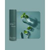 cleo+coco. Body and Hair Antiperspirants and Deodorant - Powder Basil Mint - 0.88oz - 3 of 4