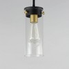 Maxim Lighting Pinn 1 - Light Pendant in  Black/Satin Brass - 3 of 4