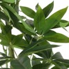 Syemin Artificial Plant Set of Artificial Achira MacrocarpaTrees Ball Indoor Outdoor Fake Plants for Home Office, Green, 3.5"*31.5"*63" - 3 of 4