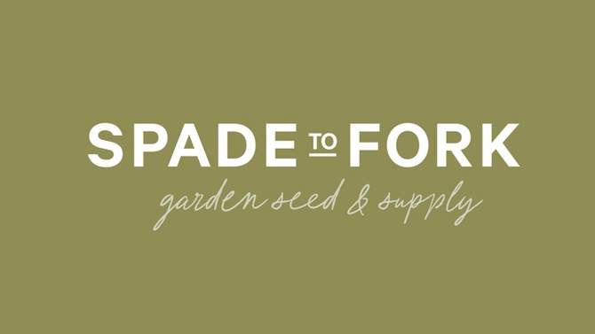 Spade to Fork Organic Garden Salsa Kit, 2 of 8, play video
