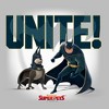 Boy's DC League of Super-Pets Batman and Ace Unite Pull Over Hoodie - 2 of 4