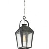 Quoizel Lighting Carriage 1 - Light Pendant in  Mottled Black - 3 of 4