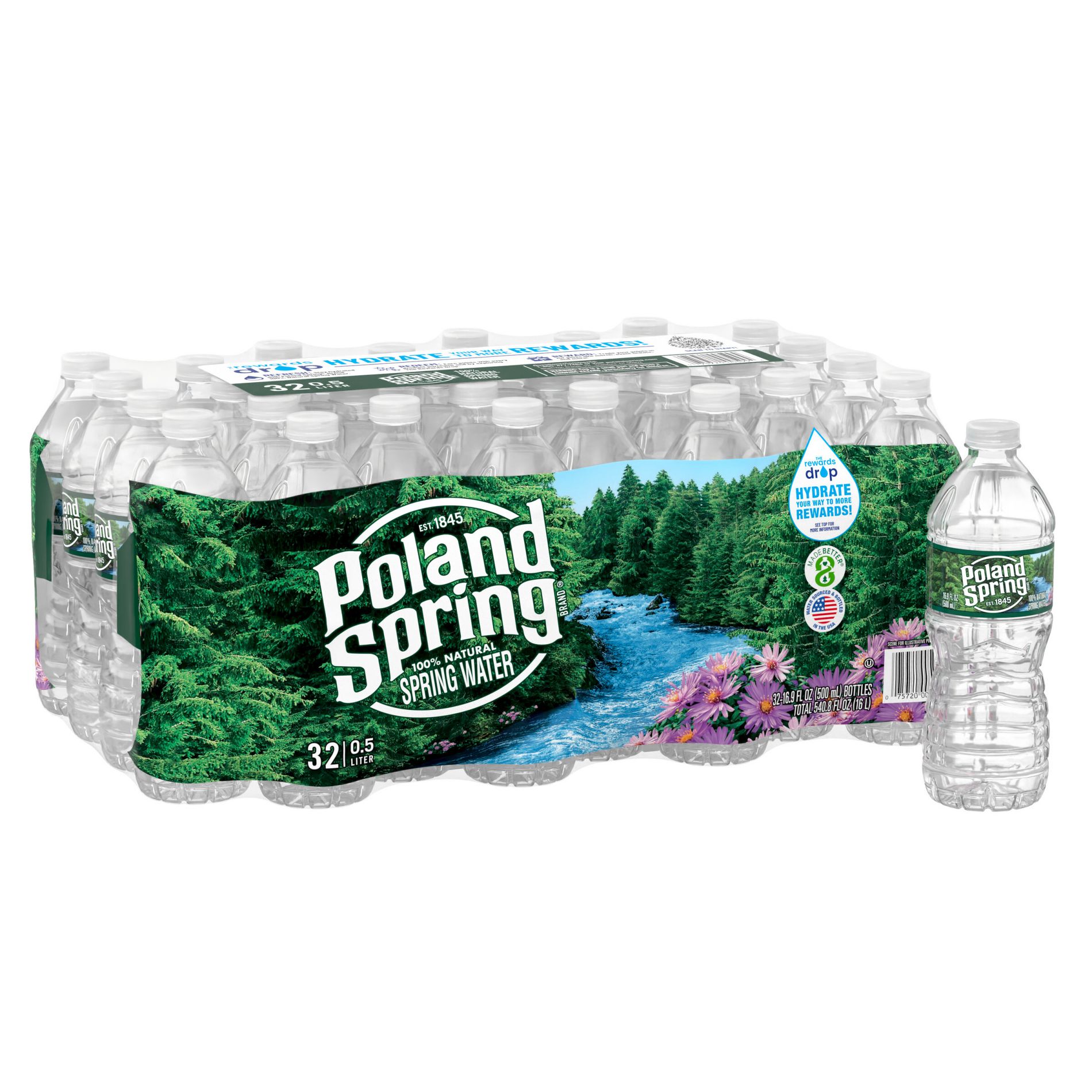 Poland Spring 100% Natural Spring Water - 32pk/16.9 fl oz Bottles