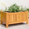 vidaXL Garden Planter Natural Solid Acacia wood Standard Durable - 2 of 4