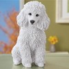 Collections Etc Realistic Detailed White Poodle Decorative Statue 8.25 X 4.5 X 9 White - 2 of 3