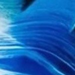 navy wave