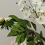 wood grain + white cabinet