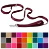 Country Brook Petz Deluxe Nylon Dog Leash, 6 Foot - 2 of 3