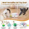 Potaroma 3 Catnip Balls and Smart 3 in 1 Cat Toy Bundle - 2 of 3