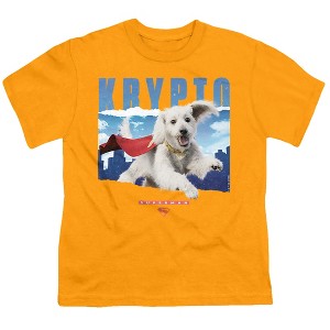 Boys' Superman 2025 Krypto in the Sky Y T-Shirt - 1 of 4